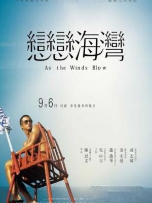 第八号证物